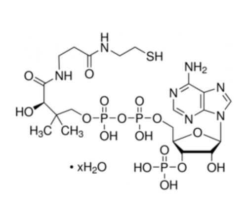 Коэнзим A гидрат 85% (УФ, ВЭЖХ) Sigma C4282