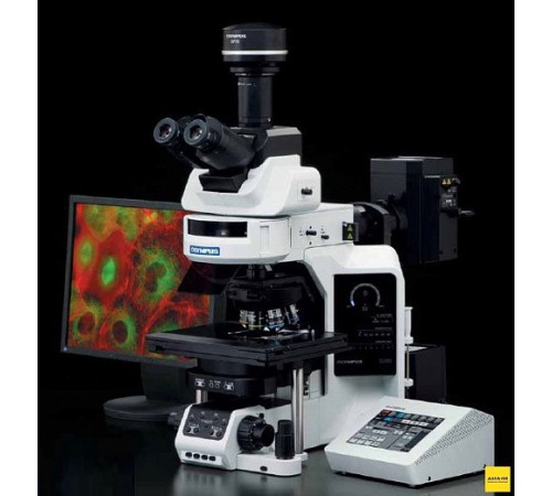 Микроскоп BX-63, прямой исследовательский, Olympus Микроскоп BX-63, прямой исследовательский, Olympus