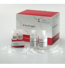 Набор PureLink miRNA Isolation Kit, Thermo FS