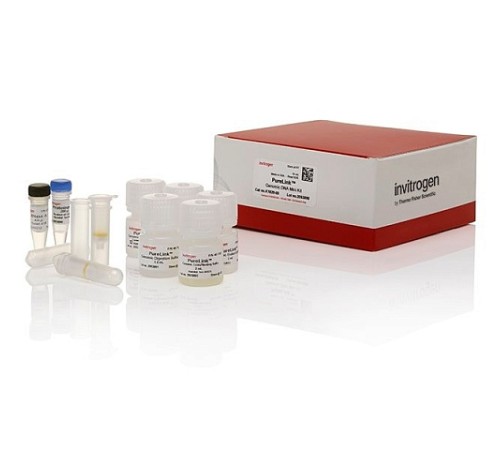 Набор для выделения ДНК, PureLink Genomic DNA Mini Kit, Thermo FS Набор для выделения ДНК, PureLink Genomic DNA Mini Kit, Thermo FS