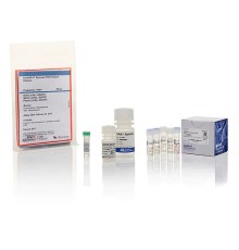 Стартовый набор для секвенирования, Thermo FS